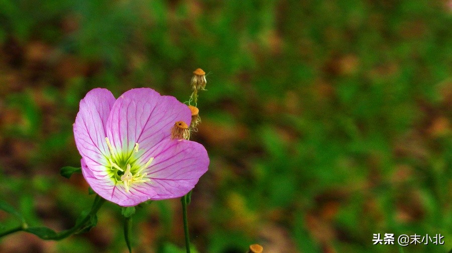 不要轻易嫁给穷男人,嫁给一个穷的男人
