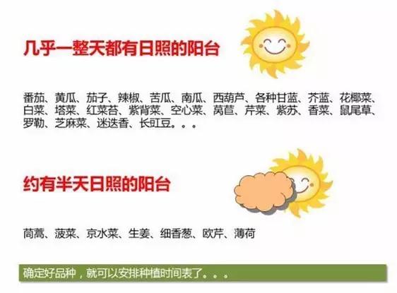 教你打造一米菜园,自家菜园教程新手入门