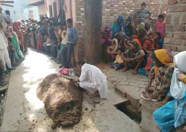 印度牛粪治病法活久见，海盗游戏《ATLAS》老外奇葩行为匪夷所思