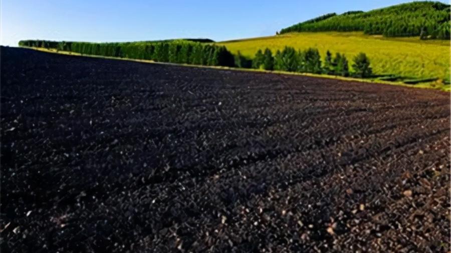 农田勤务兵,勤务兵