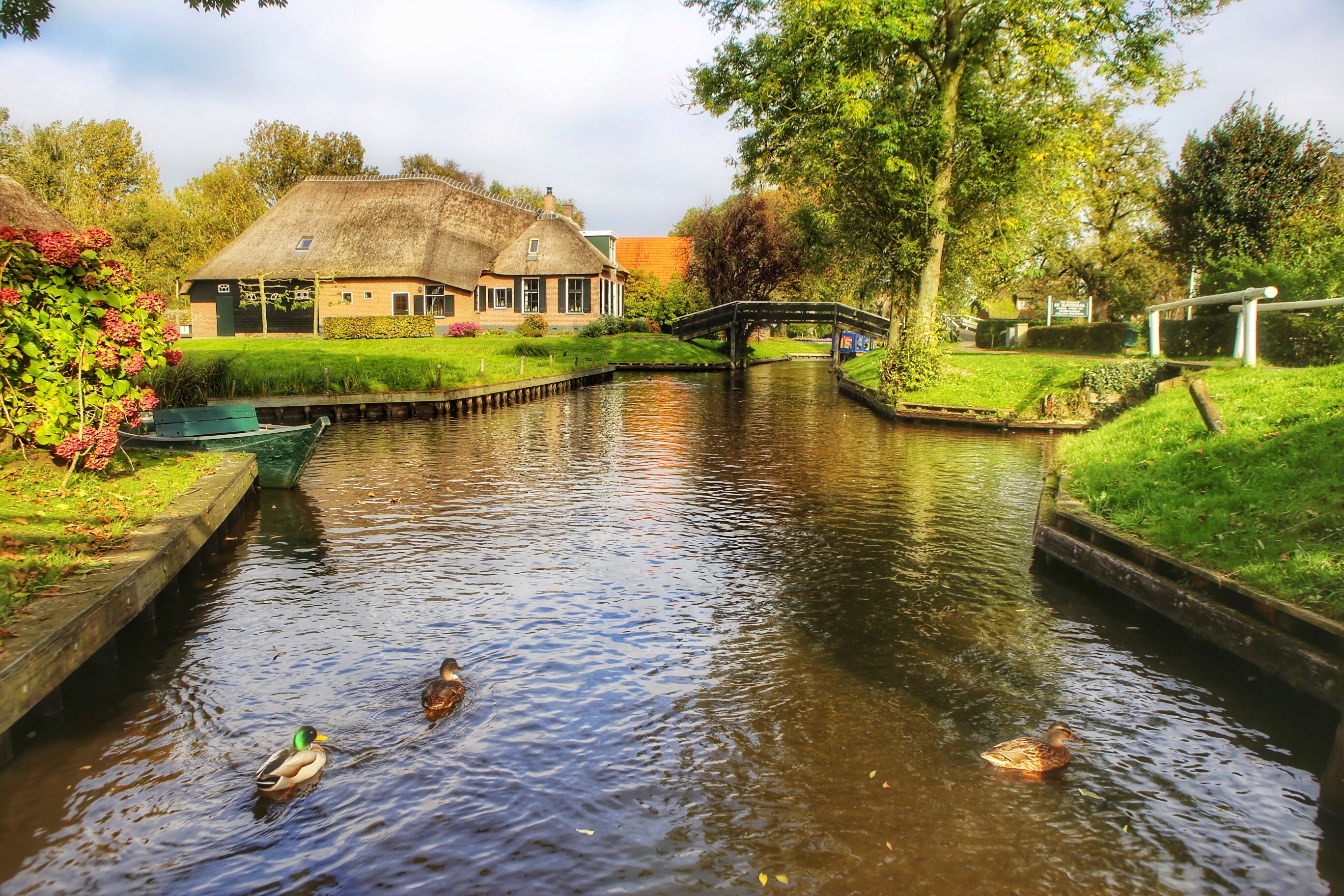 荷兰为什么是农业大国,为什么说荷兰是个开放的国家