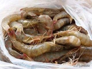 处理大虾保存大虾方法,大虾如何保鲜储存最好吃