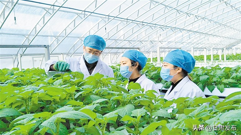 关于脱贫攻坚决战决胜之年的文章,决战决胜脱贫攻坚年