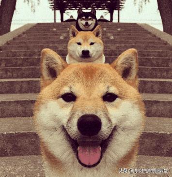 开学季护肤品推荐视频,元气学生套装推荐