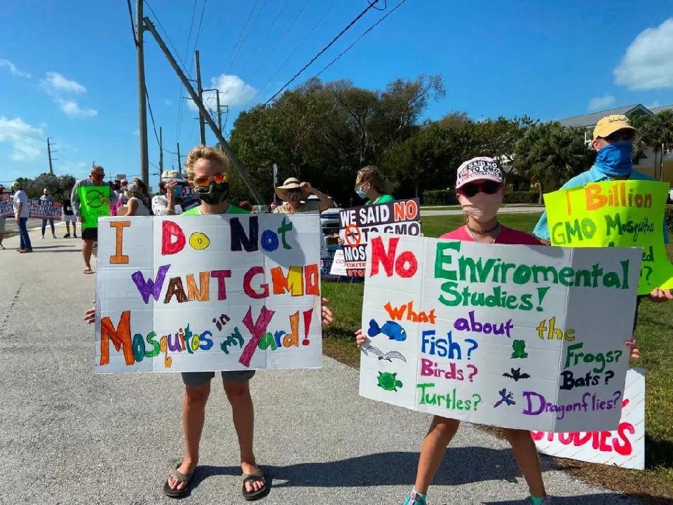 为什么蚊子幼虫期危害大,蚊子为什么被称为害虫