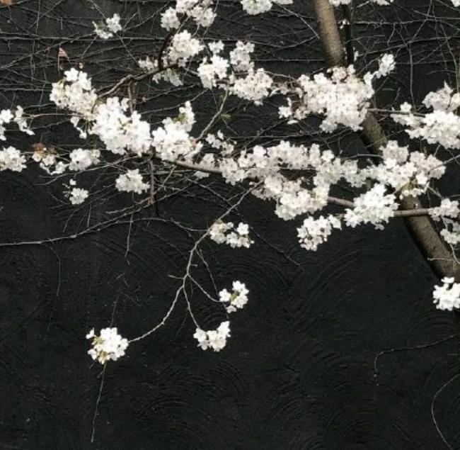 十个小技巧克服害羞,12个技巧帮助你克服害羞