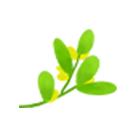 春暖花开，北京周边适合登高的地方，花开正美！还有专线能直达一个5*级A**长城景区！