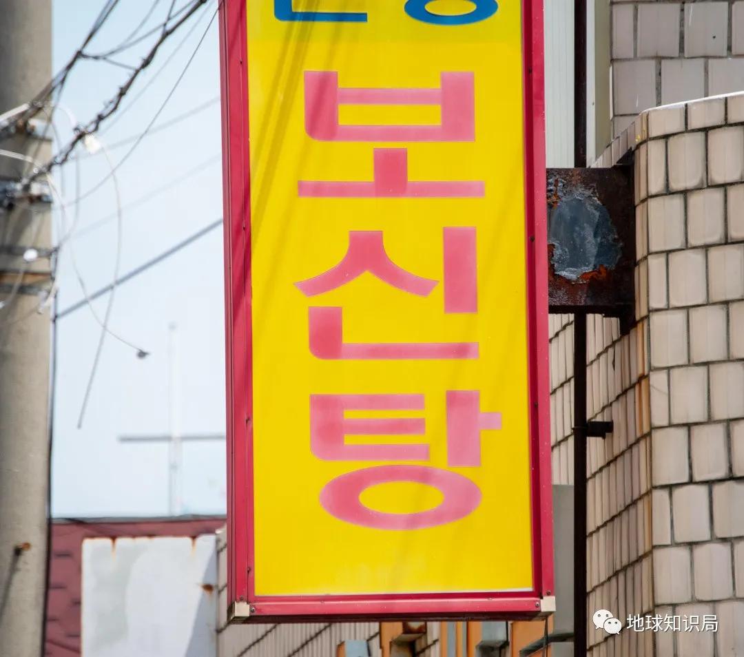 正宗朝鲜烀大块狗肉方法,朝鲜狗肉