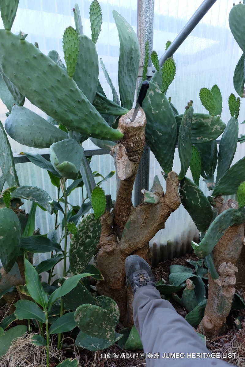 第3034回：无风雨不知花可惜，无患难不知人可谋