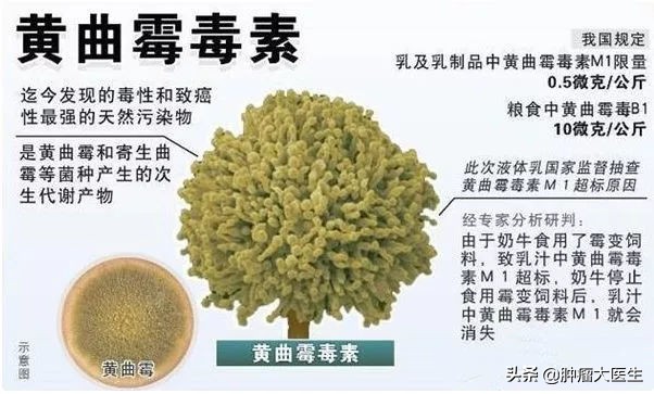 鑲濈檶鑳屽悗鐨勬渶澶х湡鍑剁珶鐒舵槸,鑲濈檶缃瓉绁搁灏卞湪浣犵殑鍘ㄦ埧