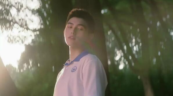 情书柏原崇藤井树解析,藤井树柏原崇是啥意思