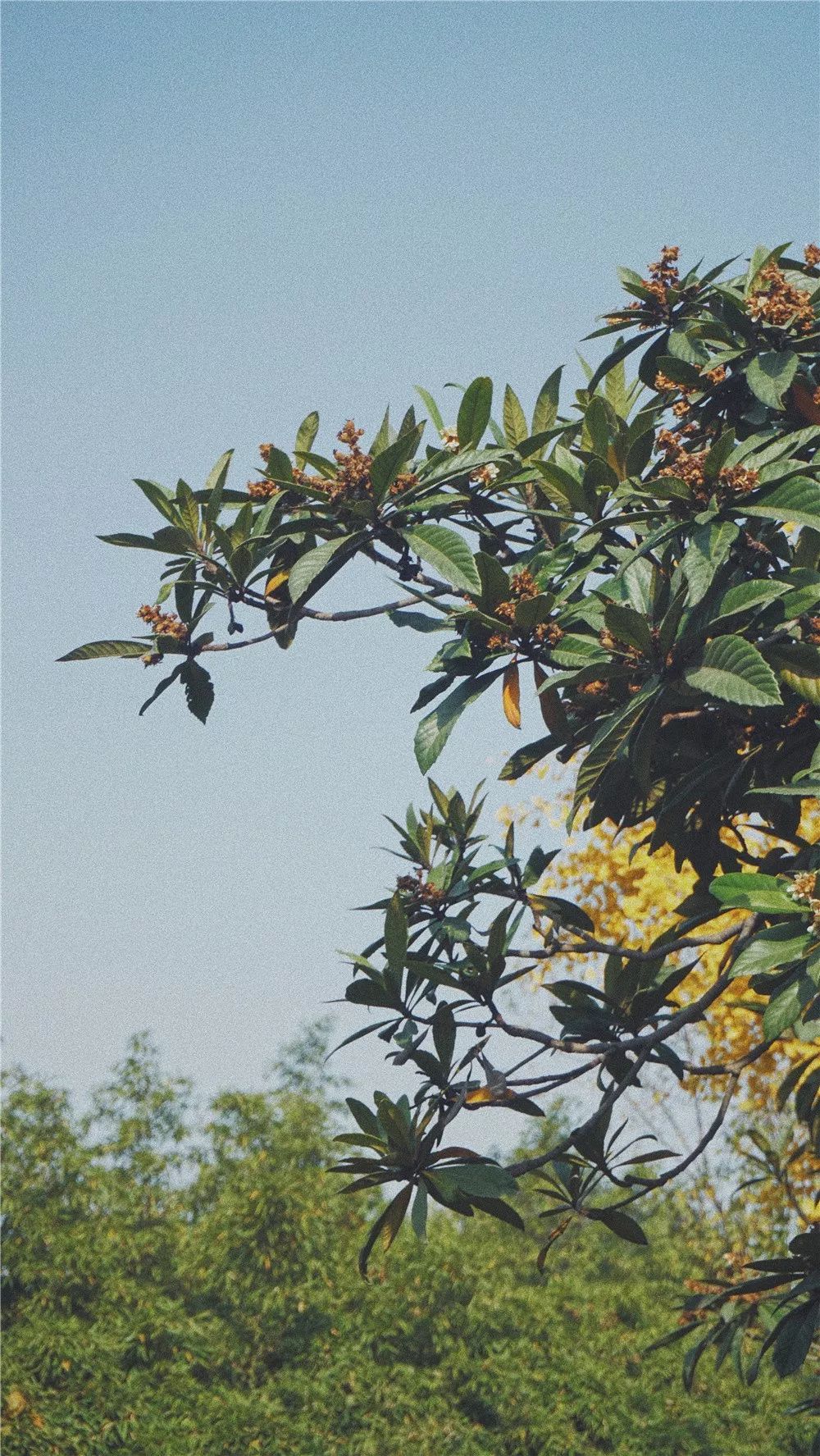 西安八月约会最佳地点,西安周末情侣最适合约会的地方