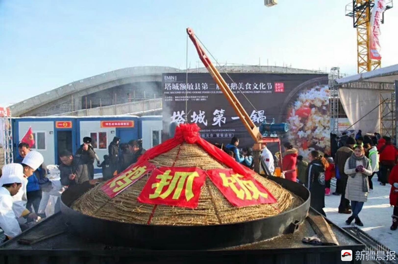 养鹅发家致富的经历,养鹅致富的大叔