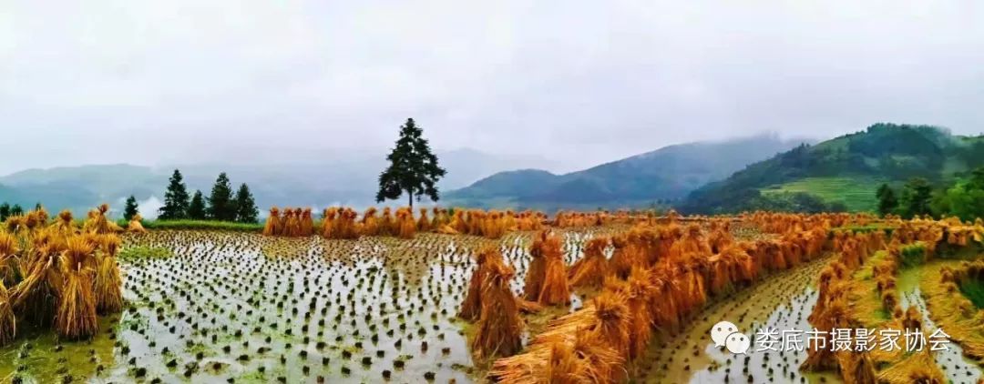 最新风景摄影小品欣赏,娄底景观小品