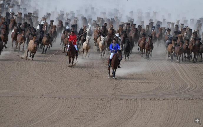 谁家策马少年郎，男星超飒骑马照，你觉得谁是你的白马王子