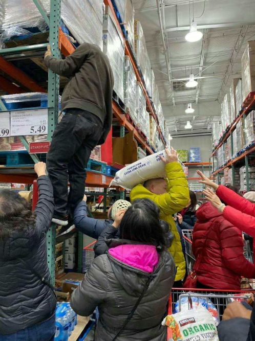 加拿大costco卫生纸,加拿大抢购卫生纸