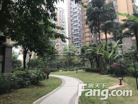 特价房：龙泉驿书房89㎡清水套三直降3万离地铁口仅500米