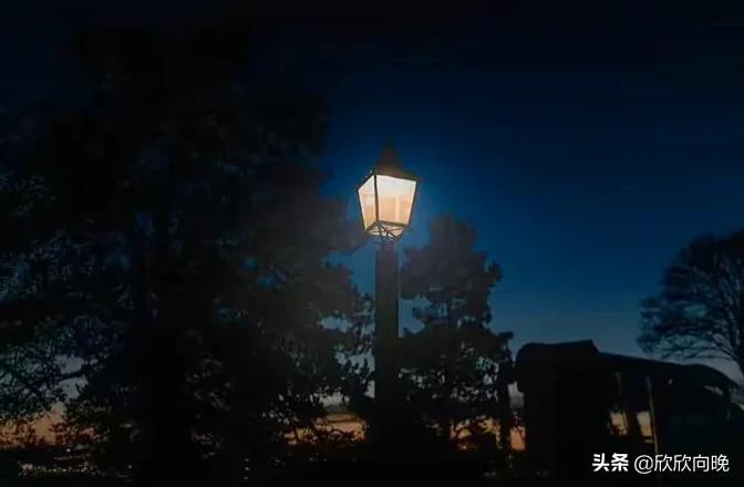 依赖手机,依赖手机会产生哪些不利影响