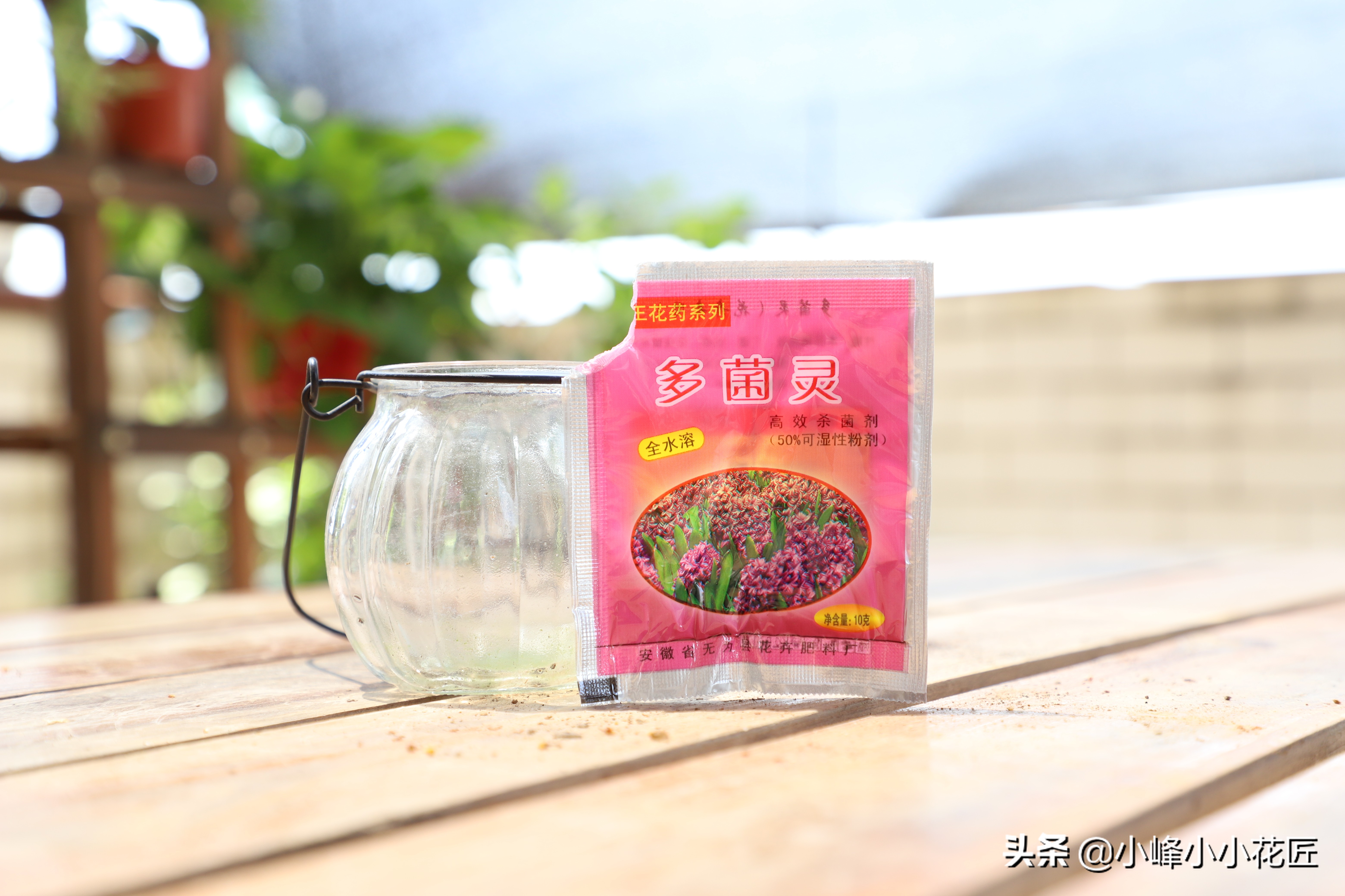 兰花换盆多菌灵的正确使用方法,多菌灵给土豆的正确使用方法