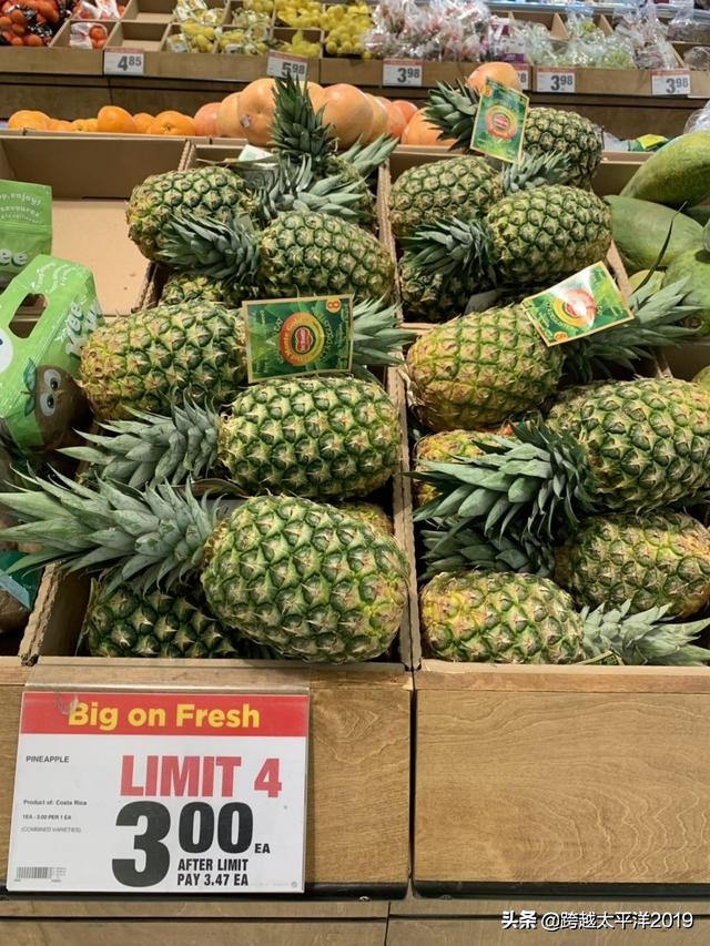 加拿大超市购物必买 (加拿大多伦多costco购物必买)