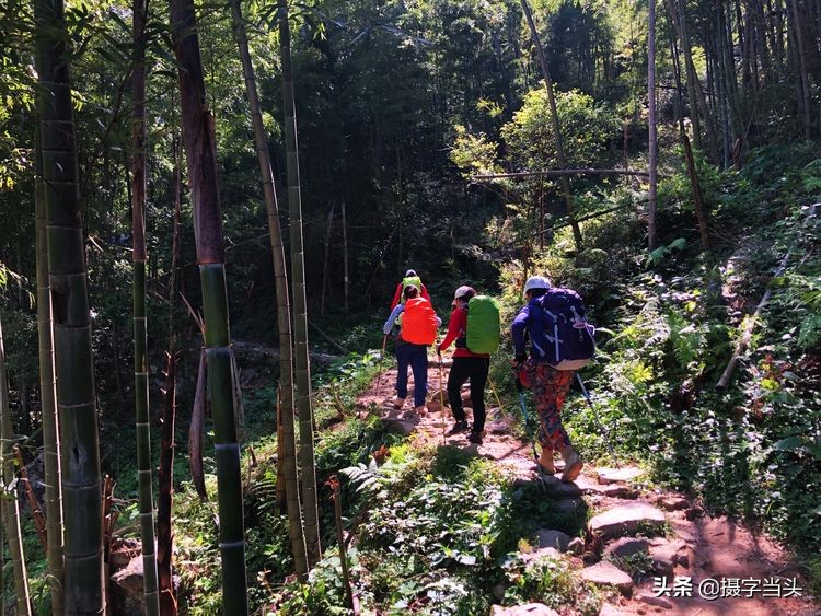 初夏游江西：历经晴、雨、雾，穿越武功山