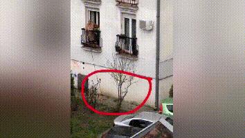 这些软硬不吃扮成狗也要出门浪的人，终于开始“StayHome”了