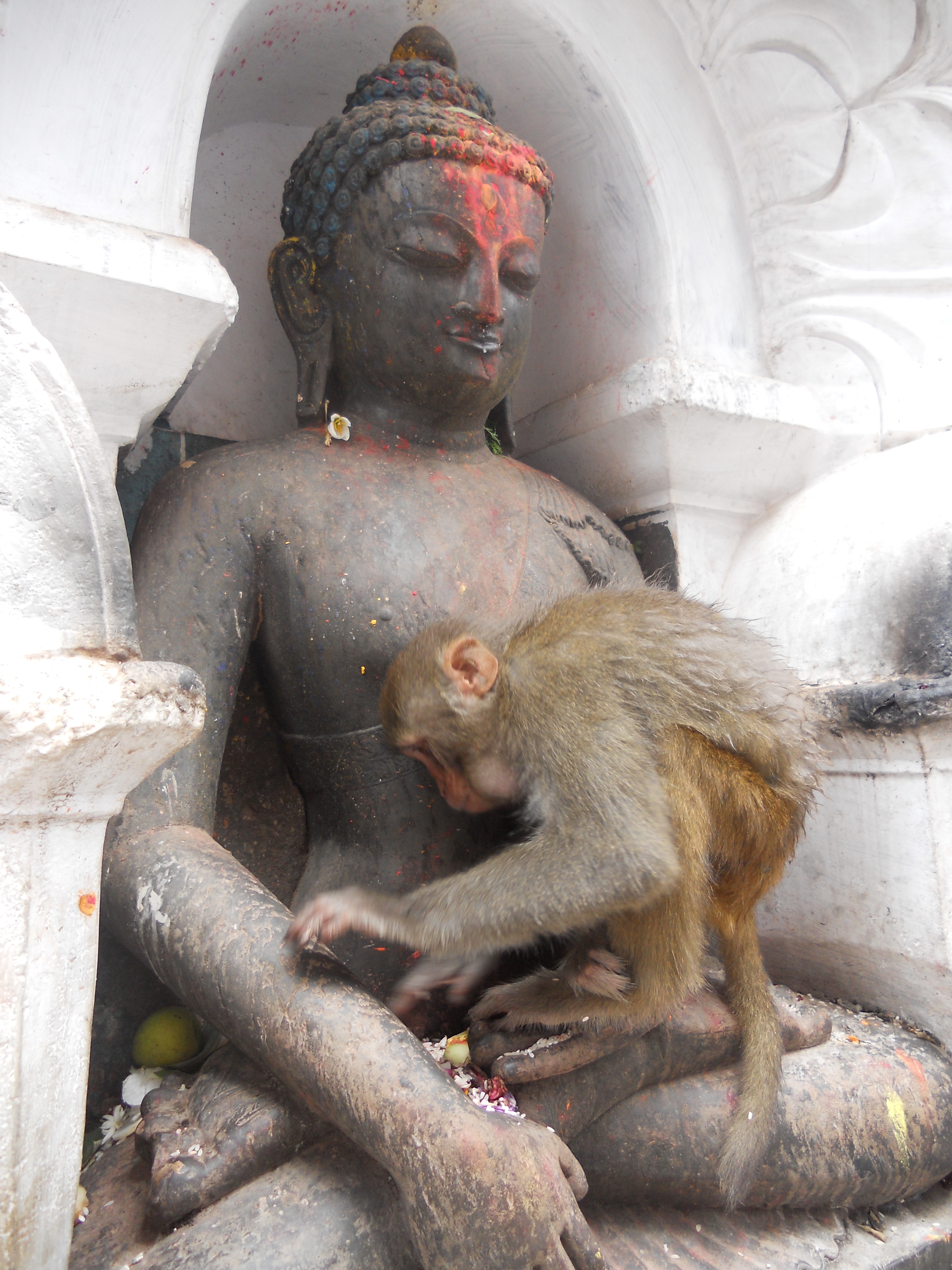 中国的后花园是指哪里,尼泊尔之游