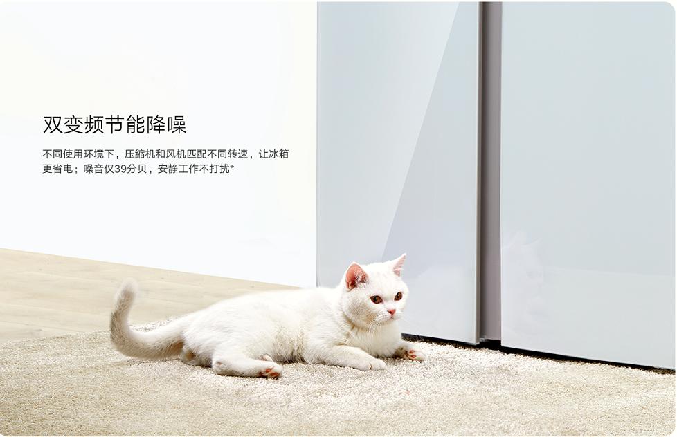 超大容量全家共享！仅需2499元即可拥有互联网对开门冰箱？