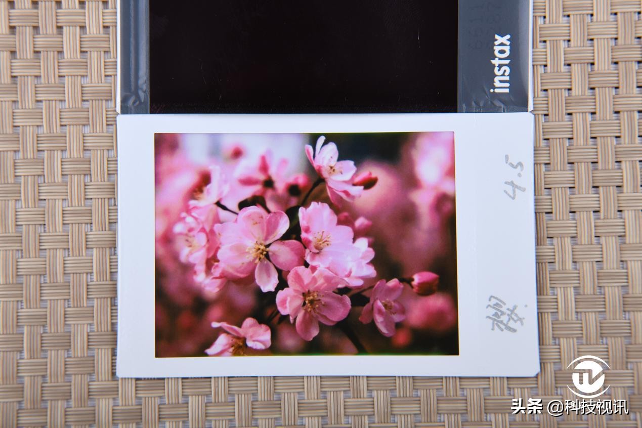 千元照片打印机横评,千元以内性价比高的打印机推荐