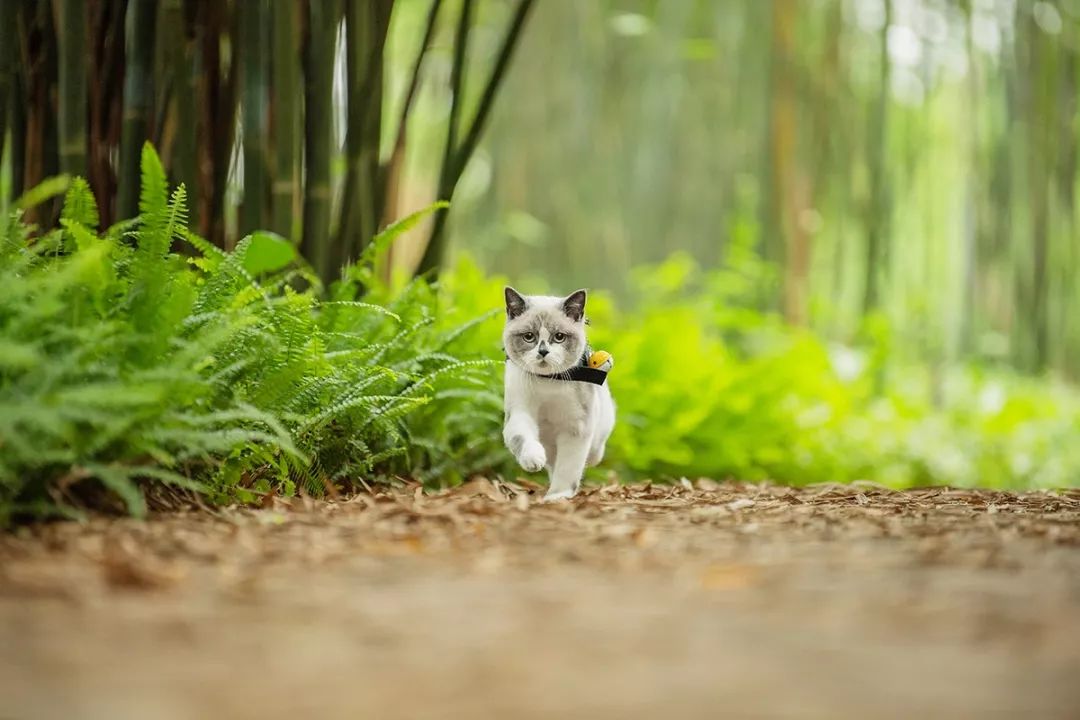 深圳富人日常生活真实记录,在深圳普通人最真实的生活状态