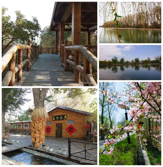 端午粽情挑战,粽情飘香话端午竞赛活动