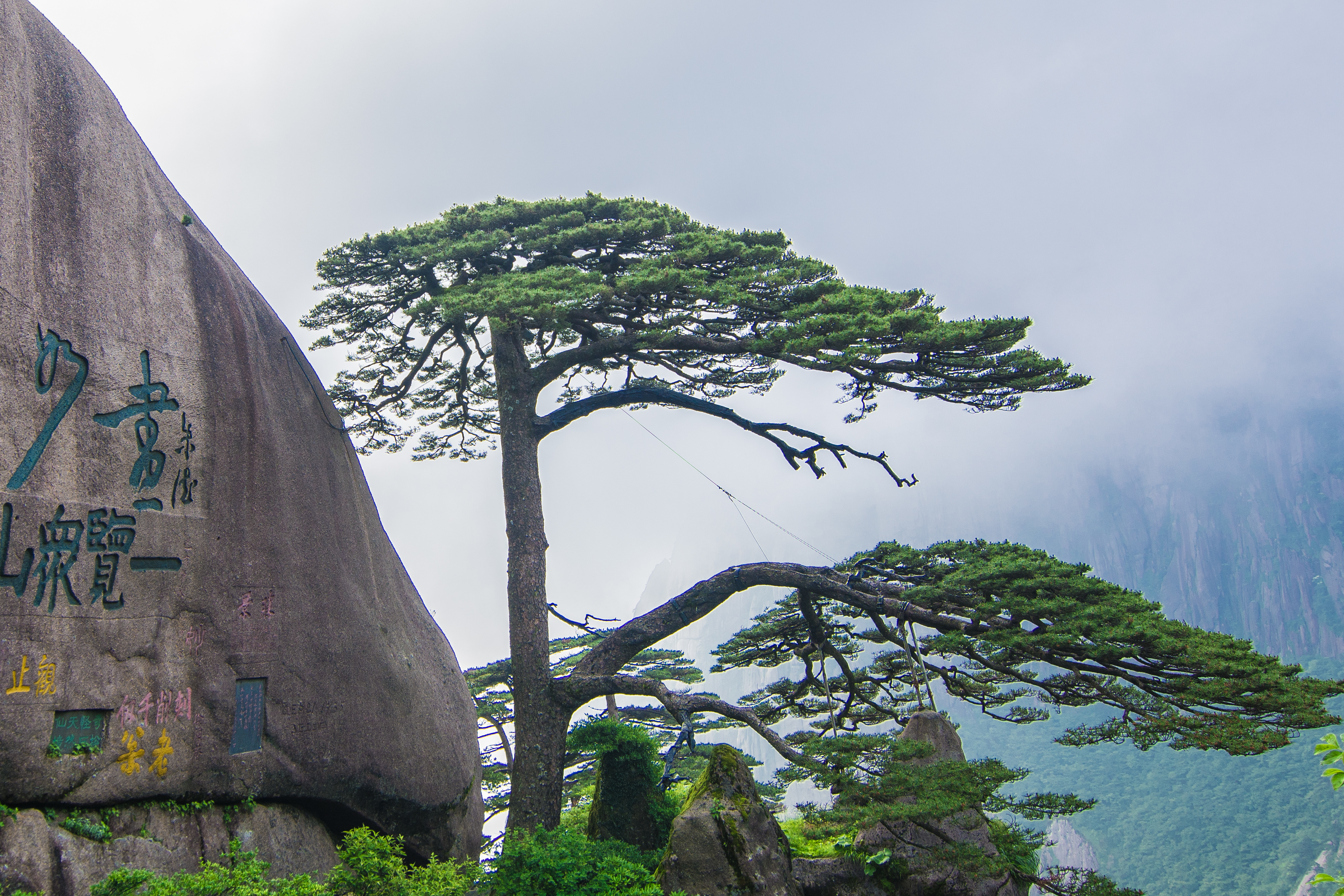 黄山附近元旦假期去哪玩,黄山元旦旅游