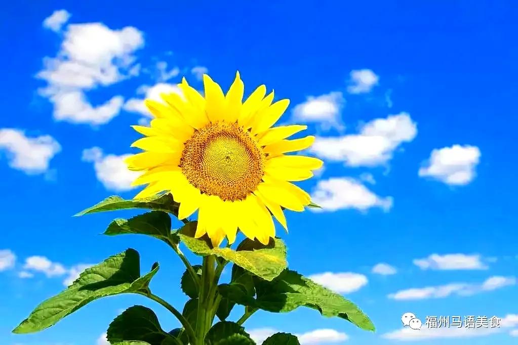 *访上**不当也会违法的（详解）