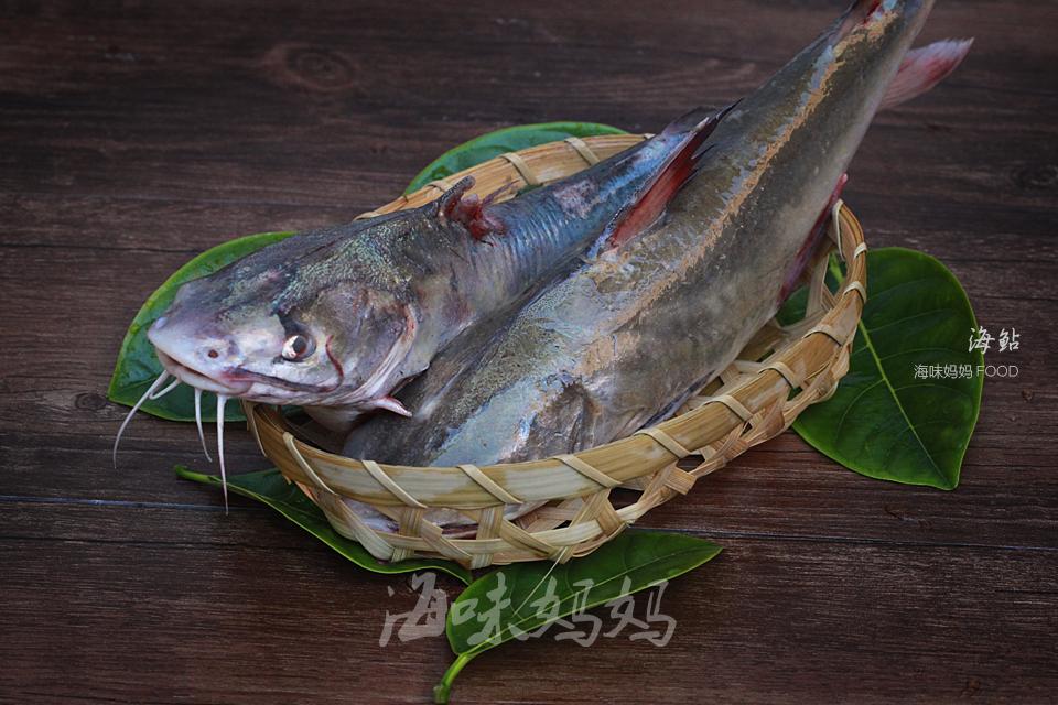 背上长有强毒的海鱼，处理时要小心，先去毒刺再除内脏。