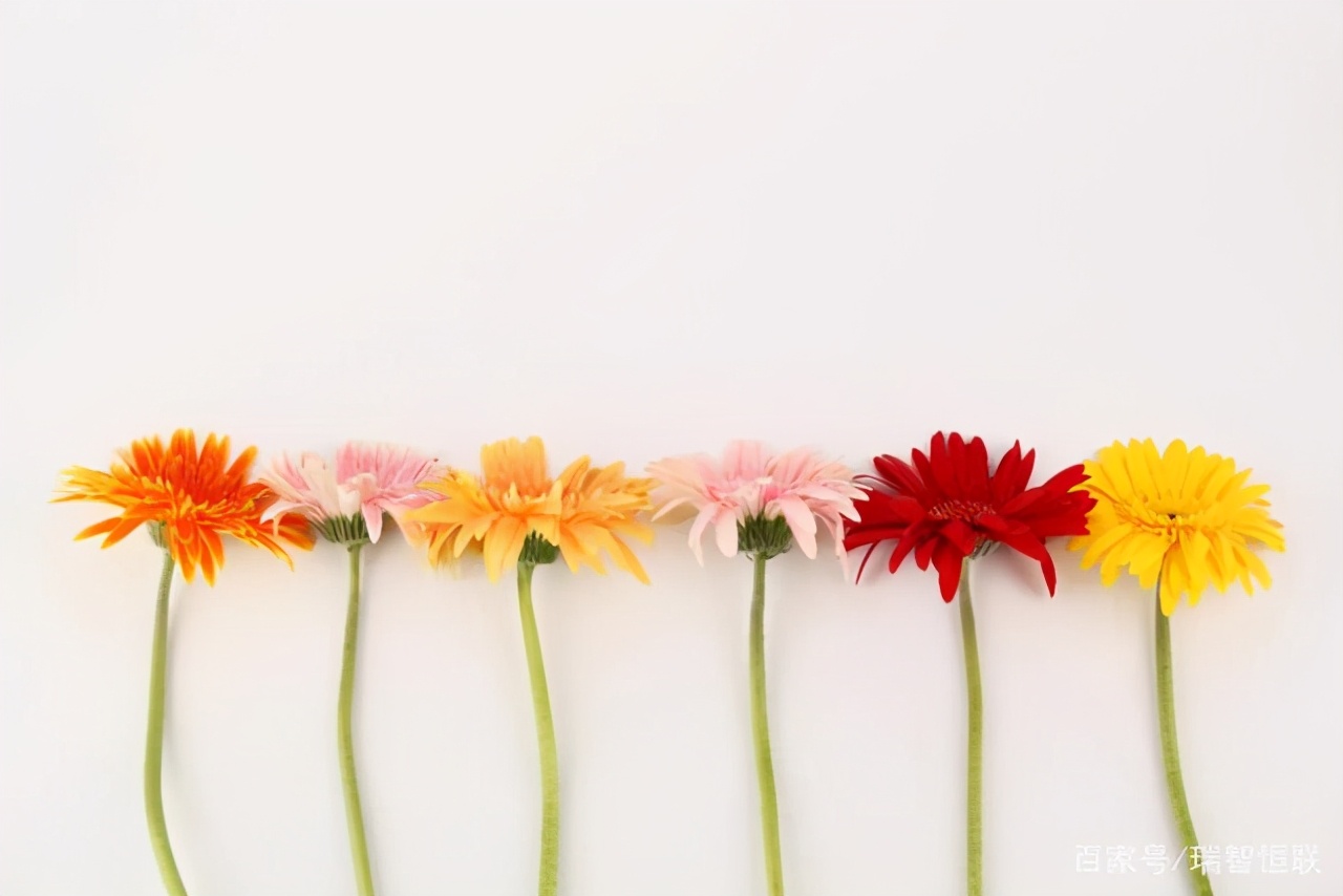 如何加快电子商务平台建设,了解各电子商务平台的内容和作用