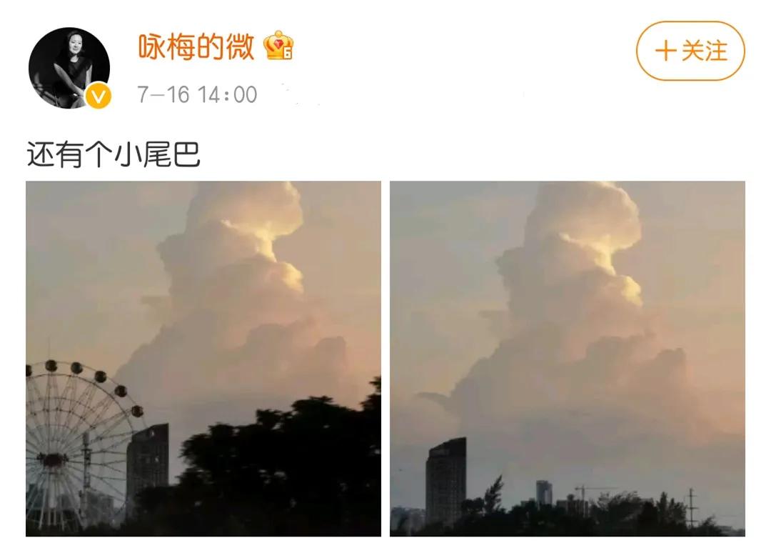 栾树咏梅余生,咏梅单亲妈妈