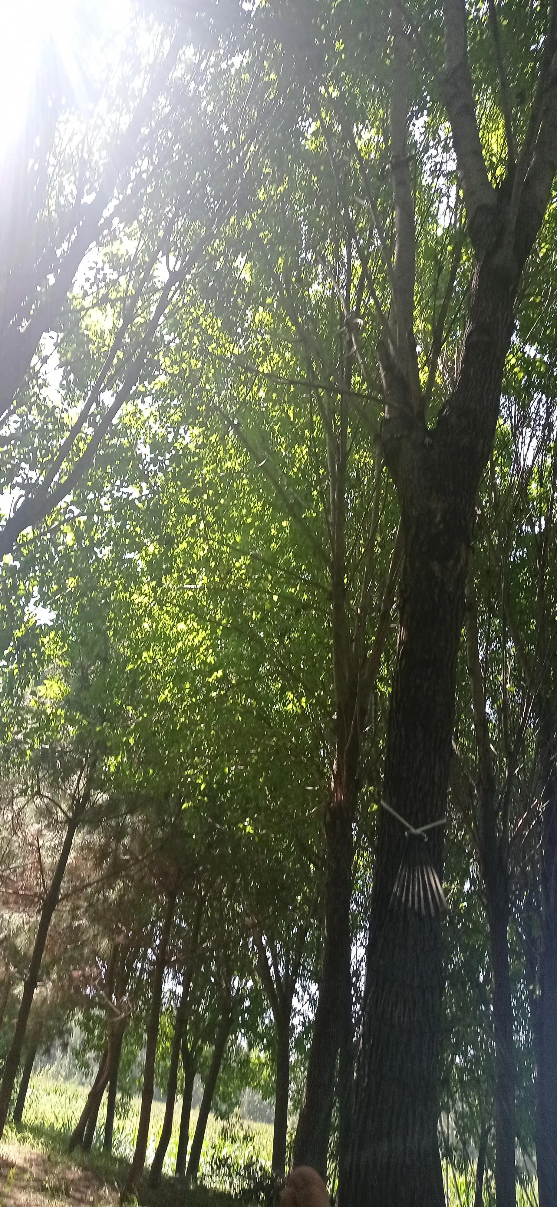 男性排尿注意事项,排尿困难最好偏方