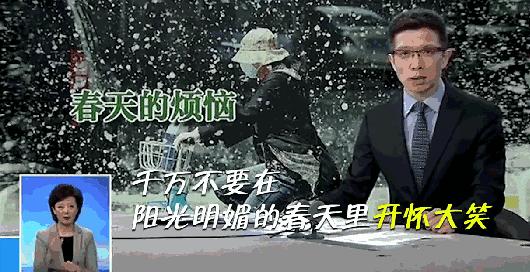 被柳絮困扰,被柳絮搞到崩溃是什么体验