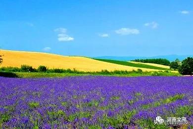 《邂逅》（一）刘学友原创