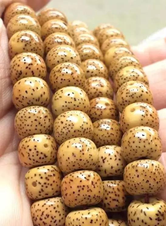 星月菩提盘花怎么处理,星月菩提的盘玩花了怎么补救