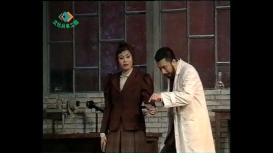 丁嘉丽和赵宝刚有合作吗,孙红雷赵宝刚出名