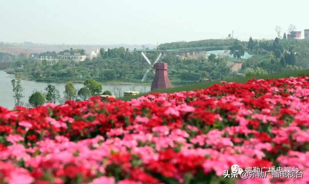弥勒美食推荐离湖泉景区最近,弥勒五彩云池风景区