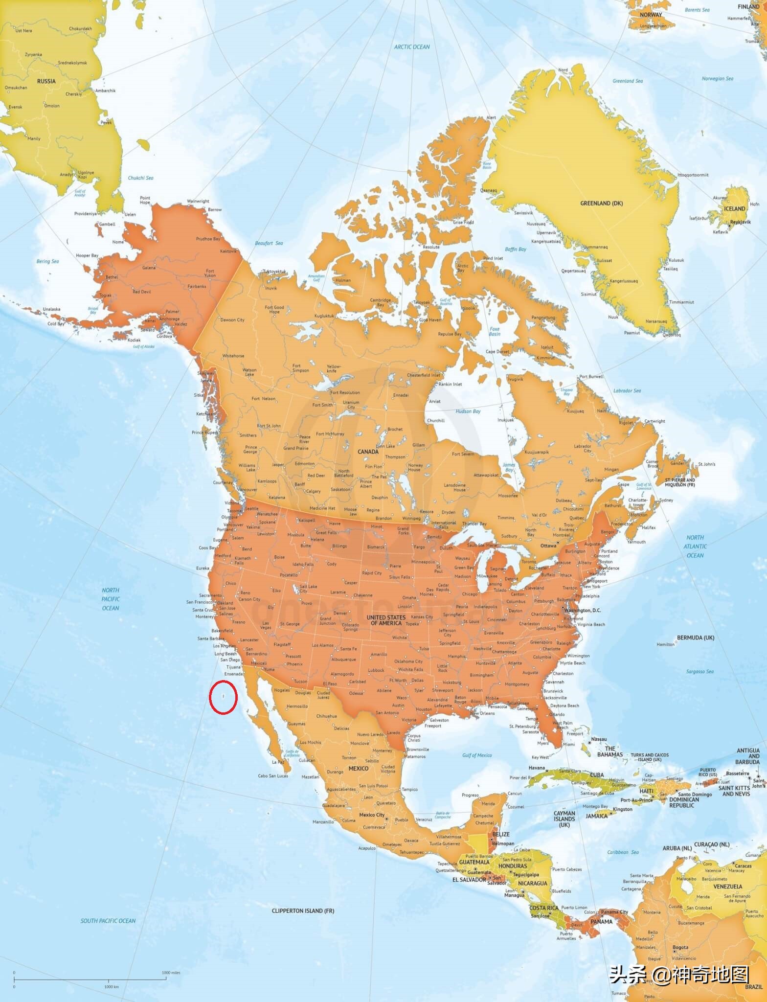 乱谈岛屿,102岛上的宝藏（TreasureontheIsland）