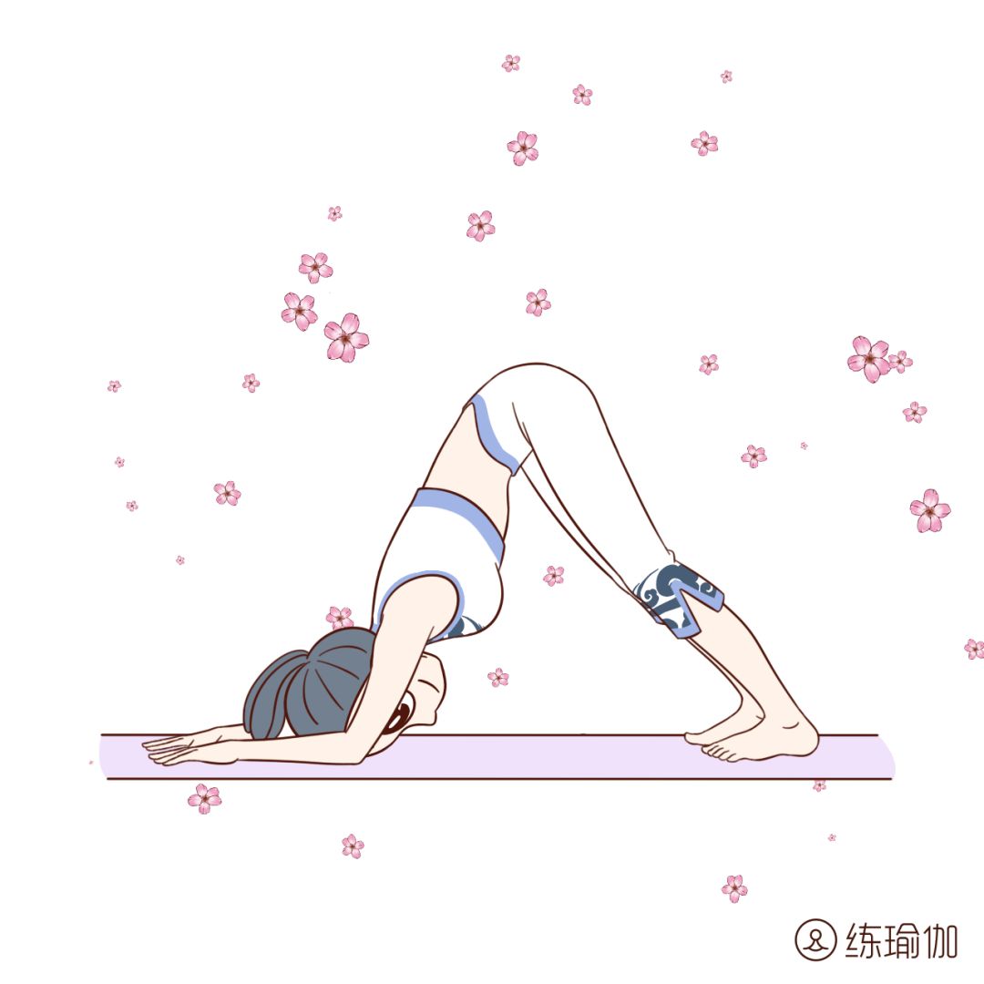 瑜伽减肥坚持了4天为啥还没瘦,瑜伽七日断食排毒减肥