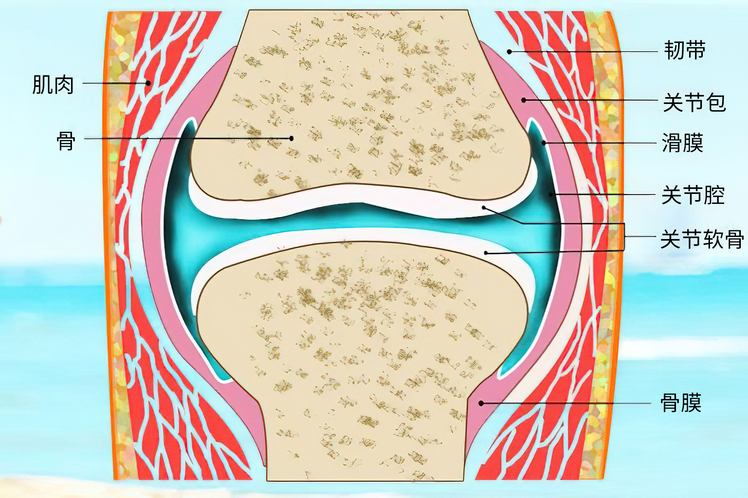 骨关节炎注射玻璃酸钠要注射几次,膝骨关节炎治疗方法及效果