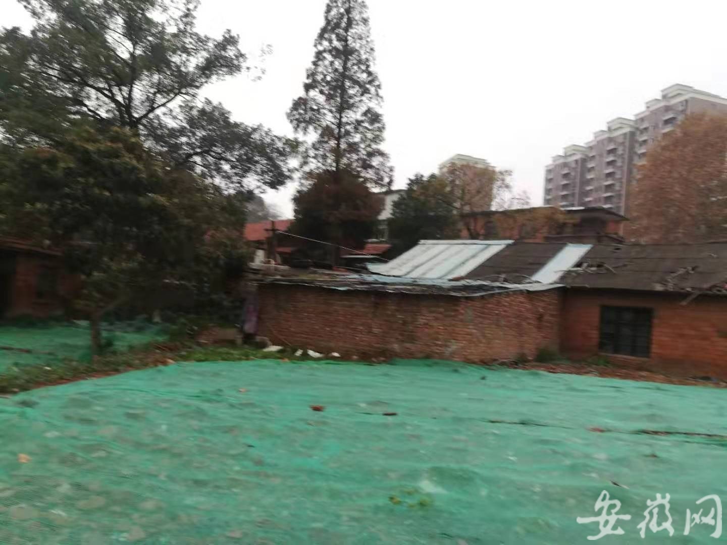 起底“女魔头”劳荣枝：在家排老五，母亲生病生活贫困，毕业后当老师待遇低，父亲去世时仍在逃亡