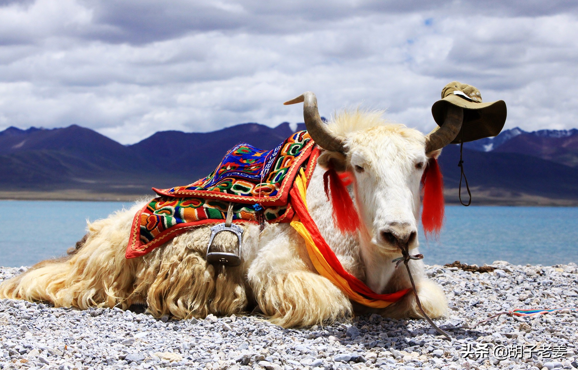 西藏三大圣湖哪个湖最美,纳木错三大圣湖之首