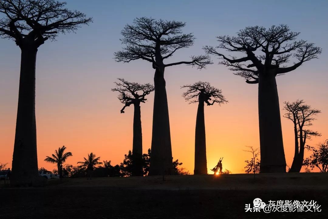 摄影人与自然和谐共生,摄影人像一生有爱