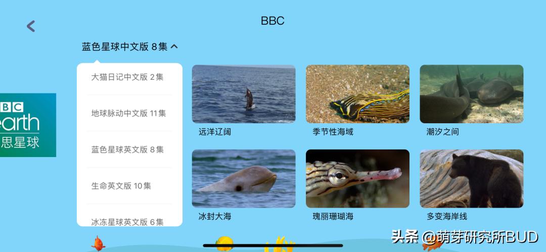 适合零基础的英语启蒙app,6款热门英语启蒙app