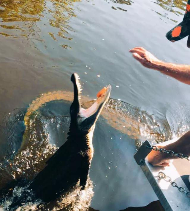 美国新奥尔良风土人情｜去过的人才知道那里压根没有新奥尔良烤翅